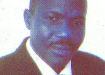 Habu Dawaki