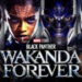 The Magic of Black Panther: Wakanda Forever