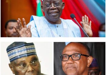 Kassu Zurmi Kan Nasarar Tinubu A Kotun Ƙoli